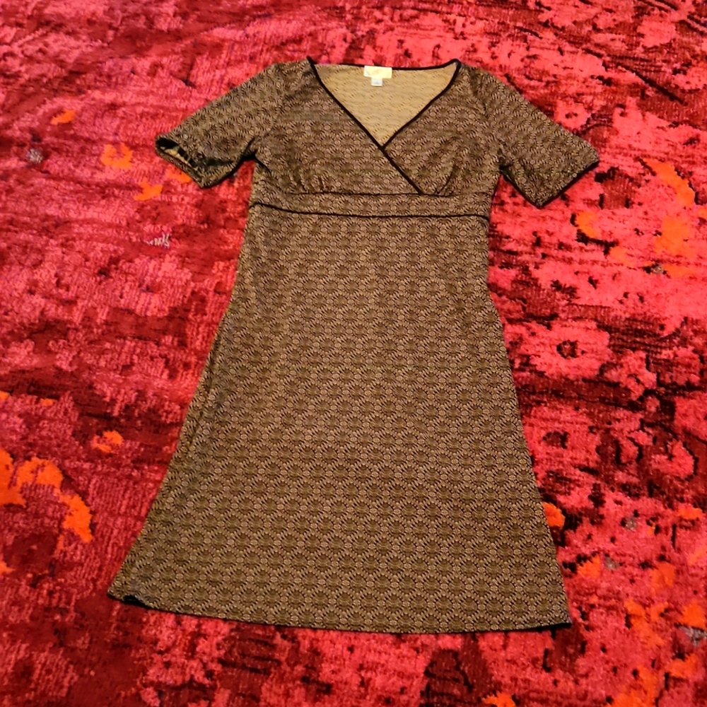 Ann Taylor Loft Dress